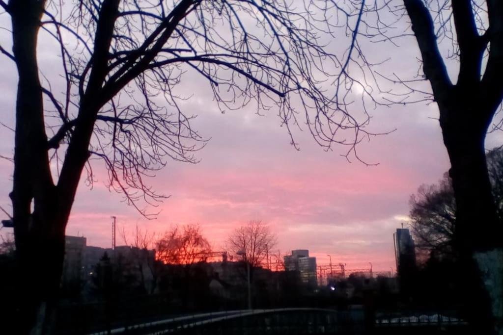 Zagreb Botanical Garden Budget Apartment 外观 照片